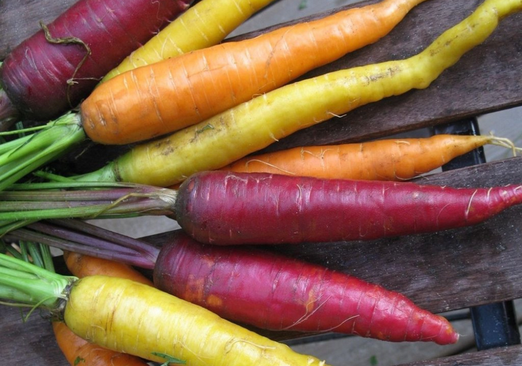 Légumes racines