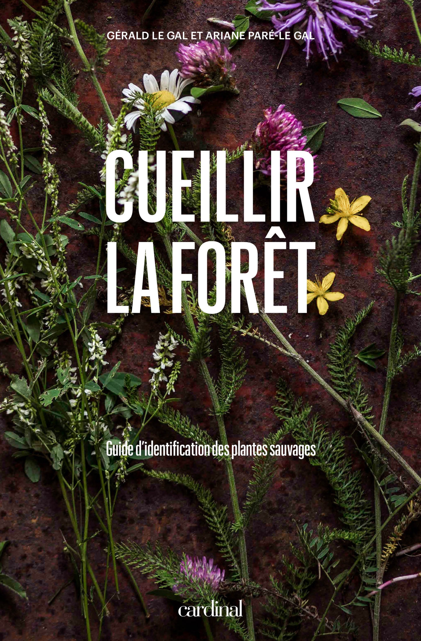 Cueillir la forêt — Guide d'identification des plantes sauvages