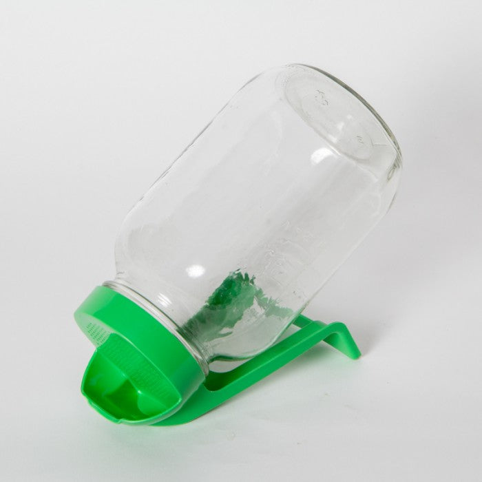 Couvercle perforé GermiMason