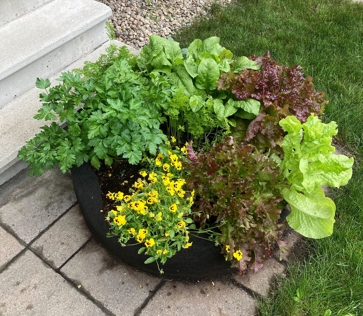 Jardins instantanés - Smart Pot