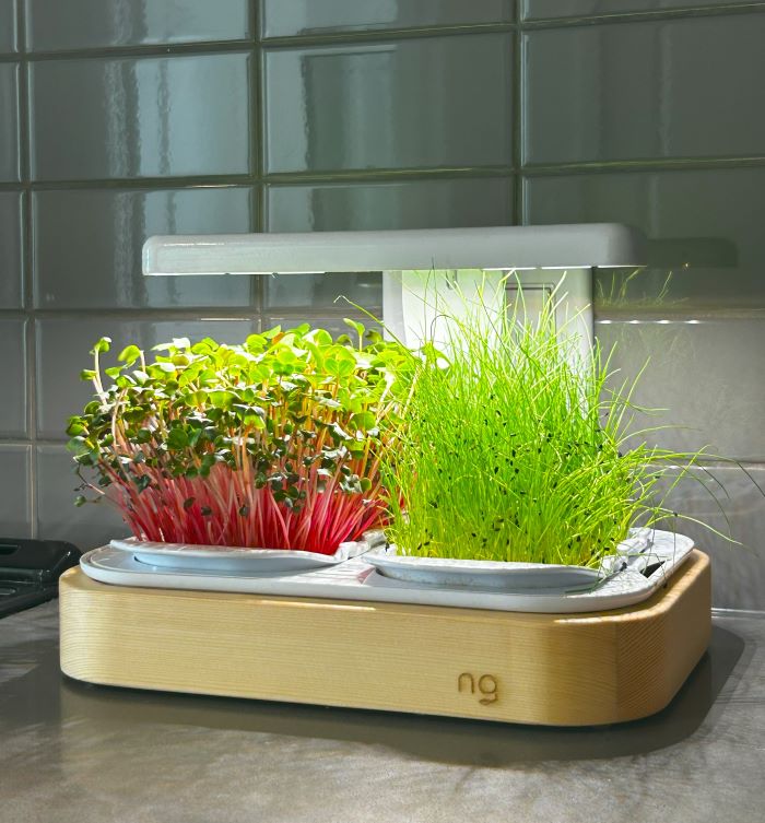 Novagrow Mini