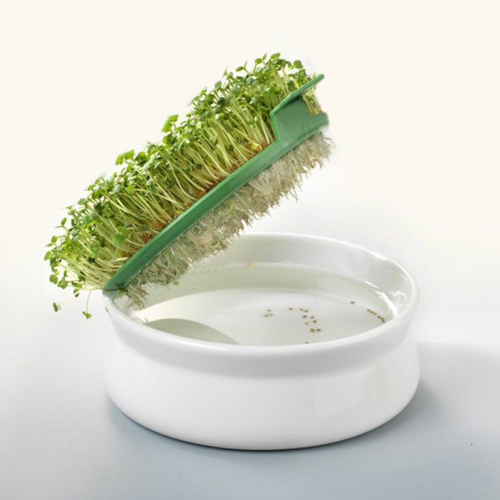 Germoir pour semences mucilagineuses