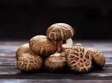 Mycélium pour jardin de La Botte