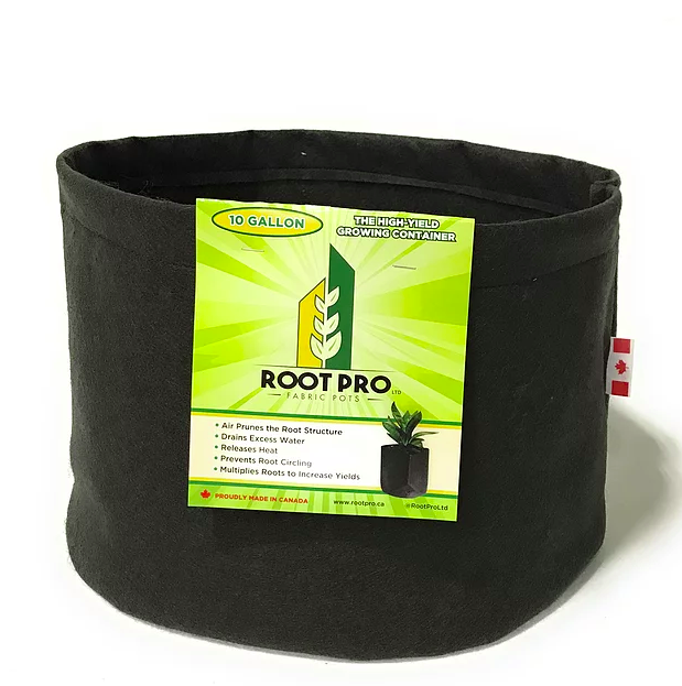 Root Pro 10 gallons