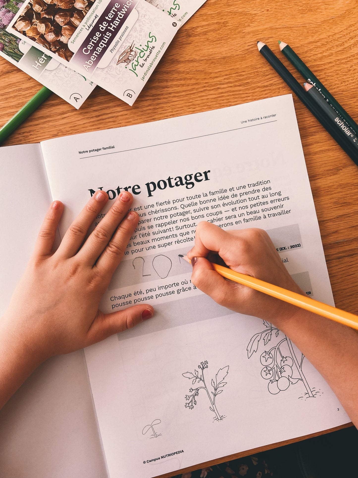 Cahier du potager familial