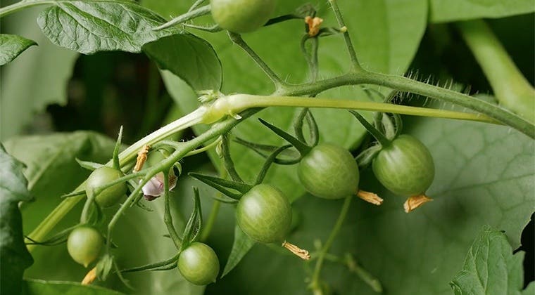 MODULE 1 : Analyser et aménager son espace