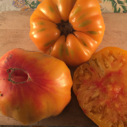 Tomate orange Striped German (semences bio)