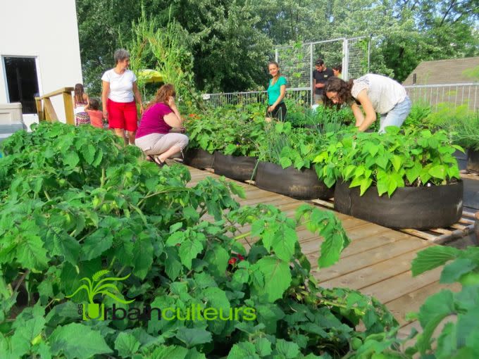 Jardins instantanés - Smart Pot