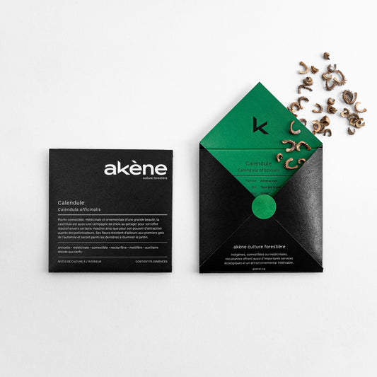 Calendule (semences)