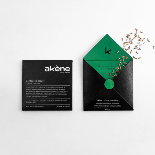 Centaurée bleuet (semences)