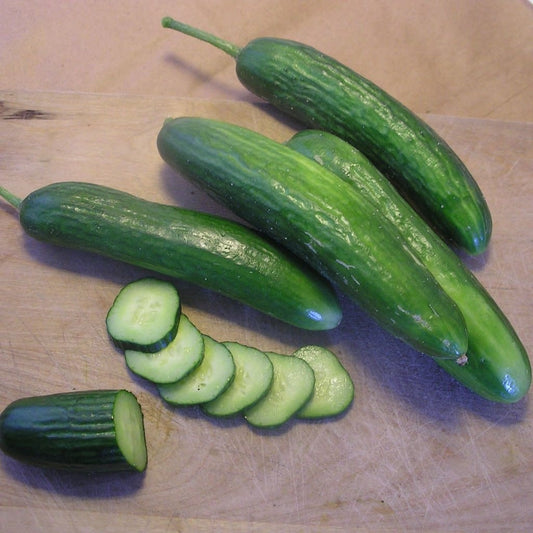 concombres