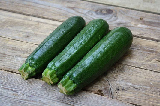 Courgette Dark Green (semences bio)