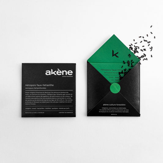 Héliopsis faux-hélianthe (semences)