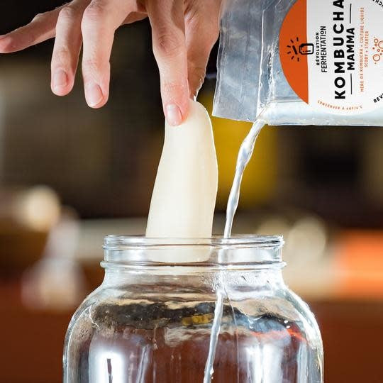 Mamma kombucha