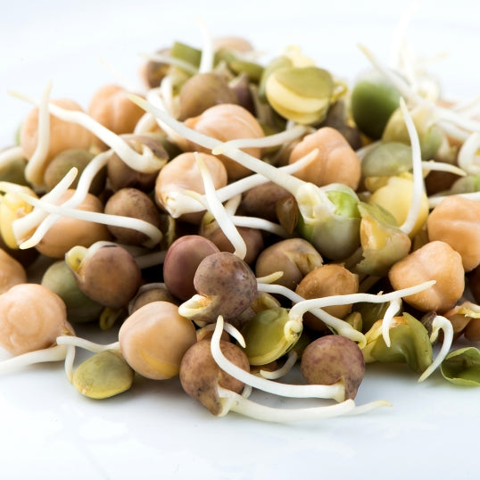 Mélange pois craquants (Canada)
