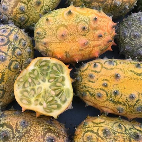 Melon Kiwano (semences bio)