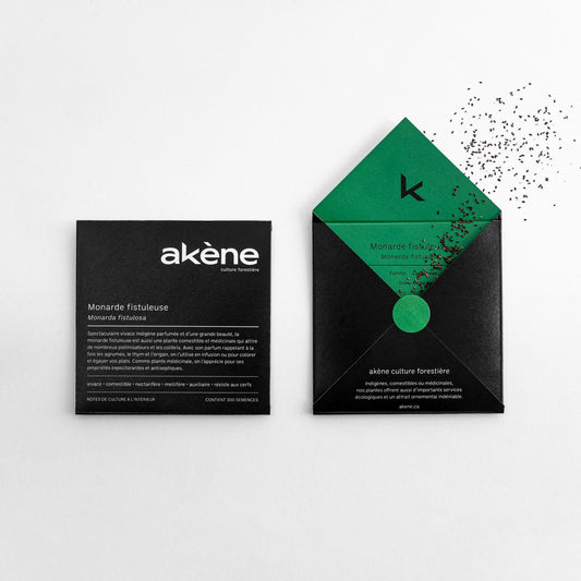 Monarde fistuleuse (semences)