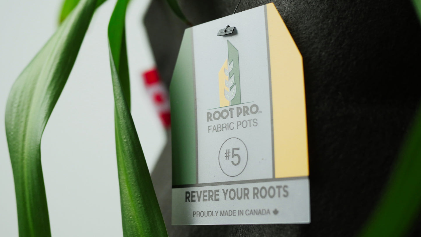 Root Pro 5 gallons