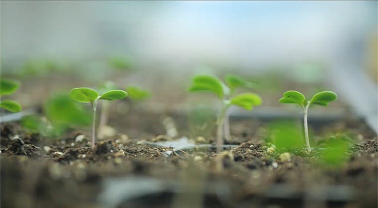 MODULE 3 : Les mains à la terre