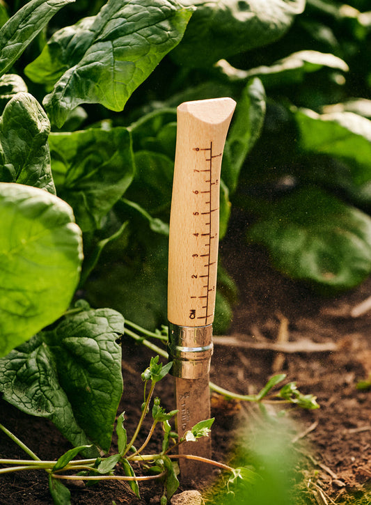 Couteau de récolte n°10 Opinel x Growers & Co.