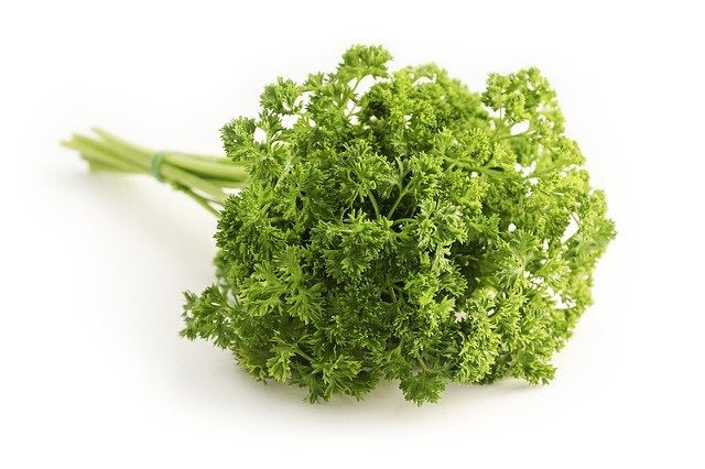 Persil frisé (plant)
