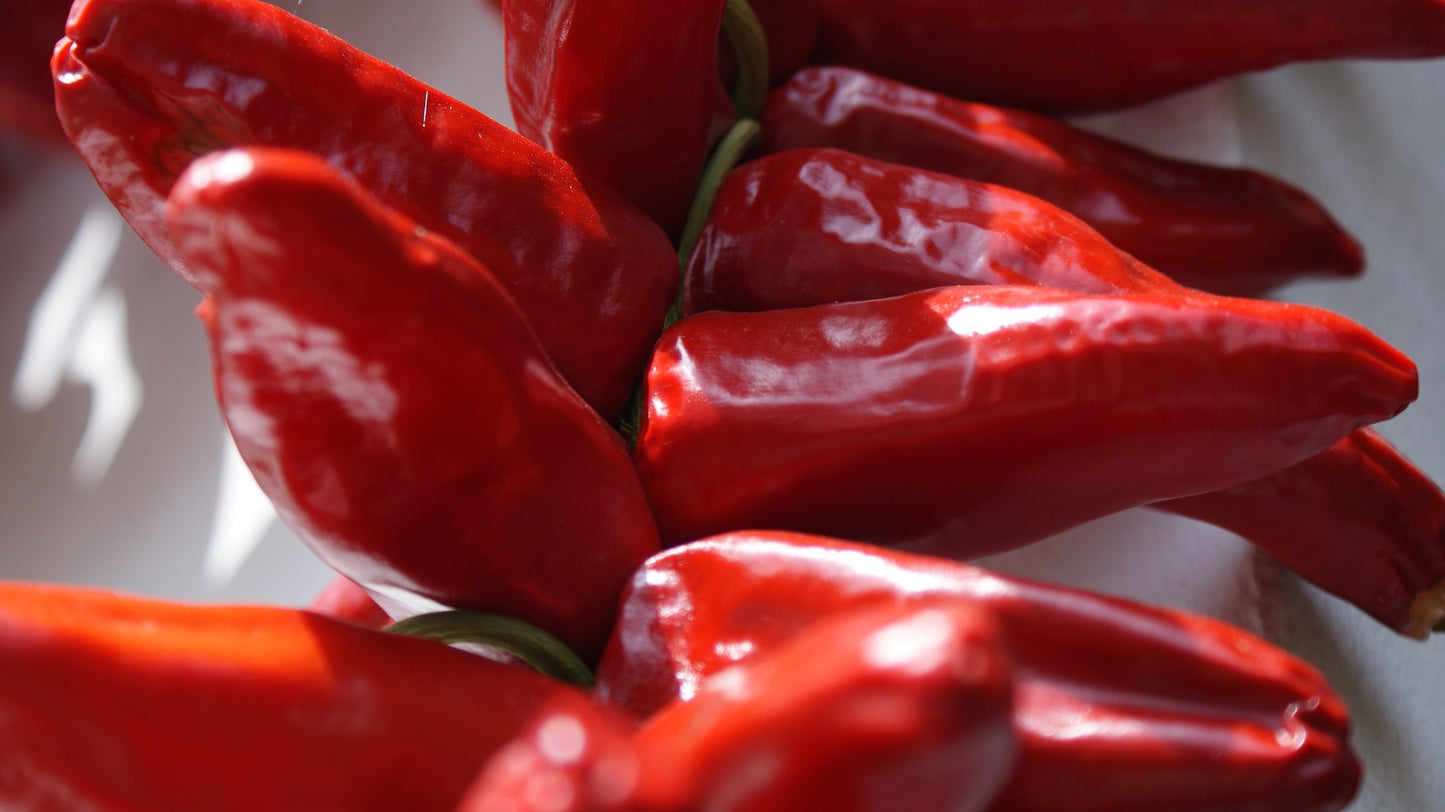 Piment d'Espelette (plant)