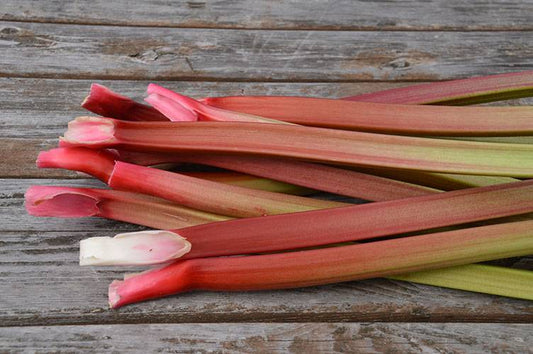 Rhubarbe Glaskins (semences bio)