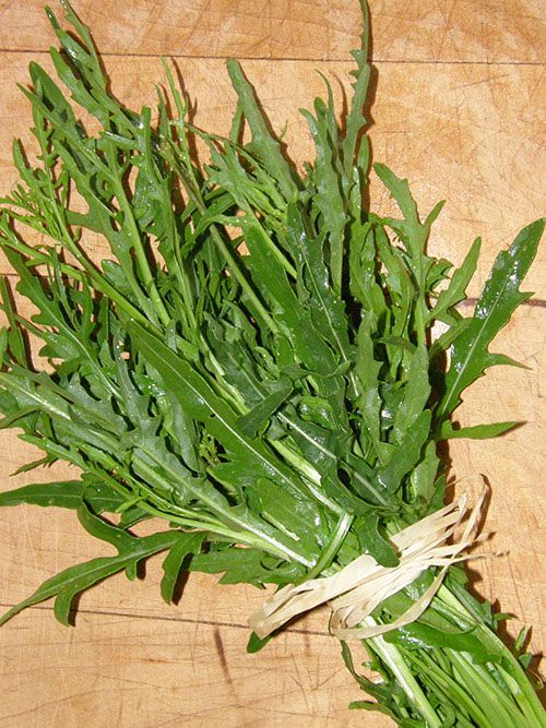 Roquette Italienne Sylvetta (semences bio)