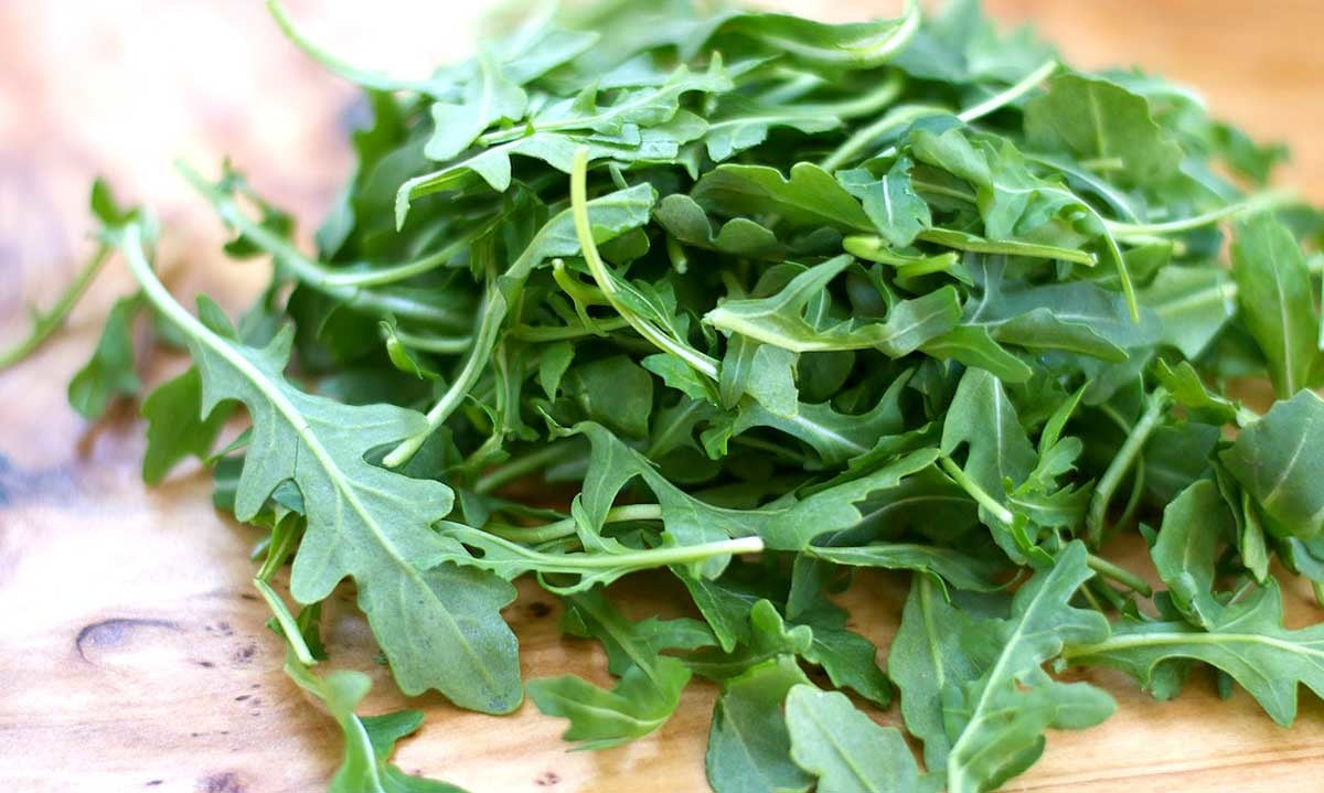 Roquette (4 plants)