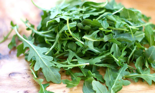 Roquette (4 plants)