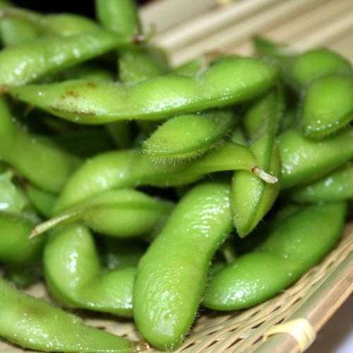 Soja Edamame Envy (semences)
