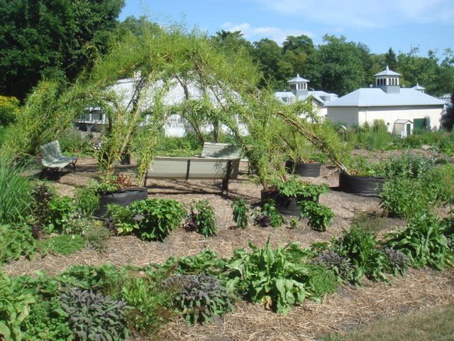 Dôme de saules partant de smart pots #100. Il y a des bancs dans le dôme et des rangées de végétaux sur paillis. Domaine Cataraqui