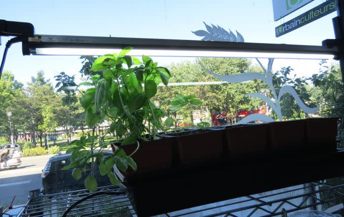 Support universel à lampe ajustable SunBlaster