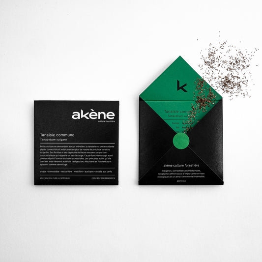 Tanaisie commune (semences)