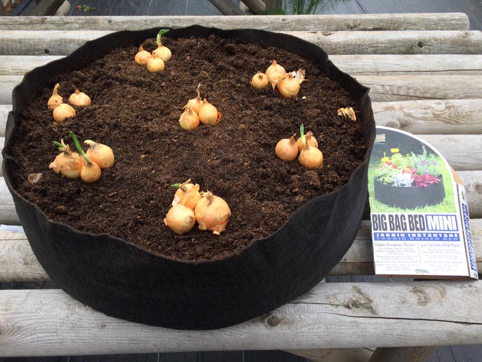 Jardins instantanés - Smart Pot