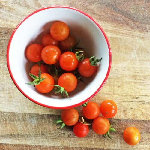 Tomate Cerise Petit Moineau (semences bio)
