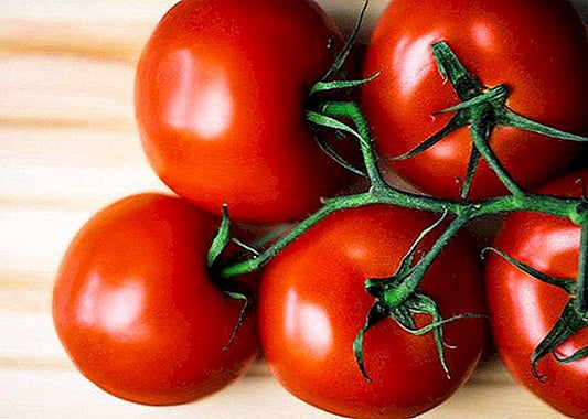 Tomate Polbig (plant)