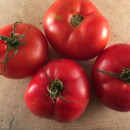 Tomate rouge Montreal Tasty (semences bio)