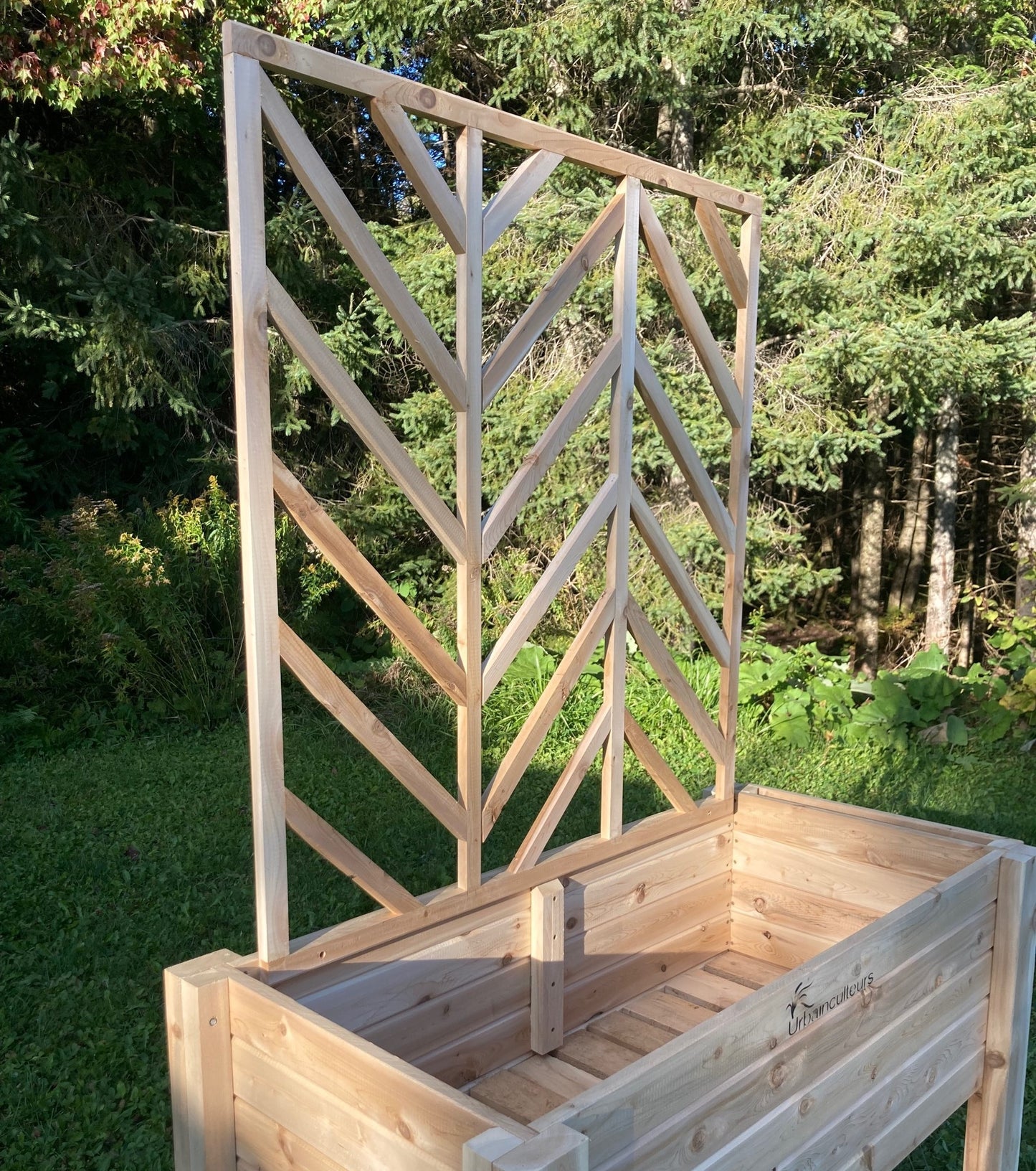 Trellis à chevron