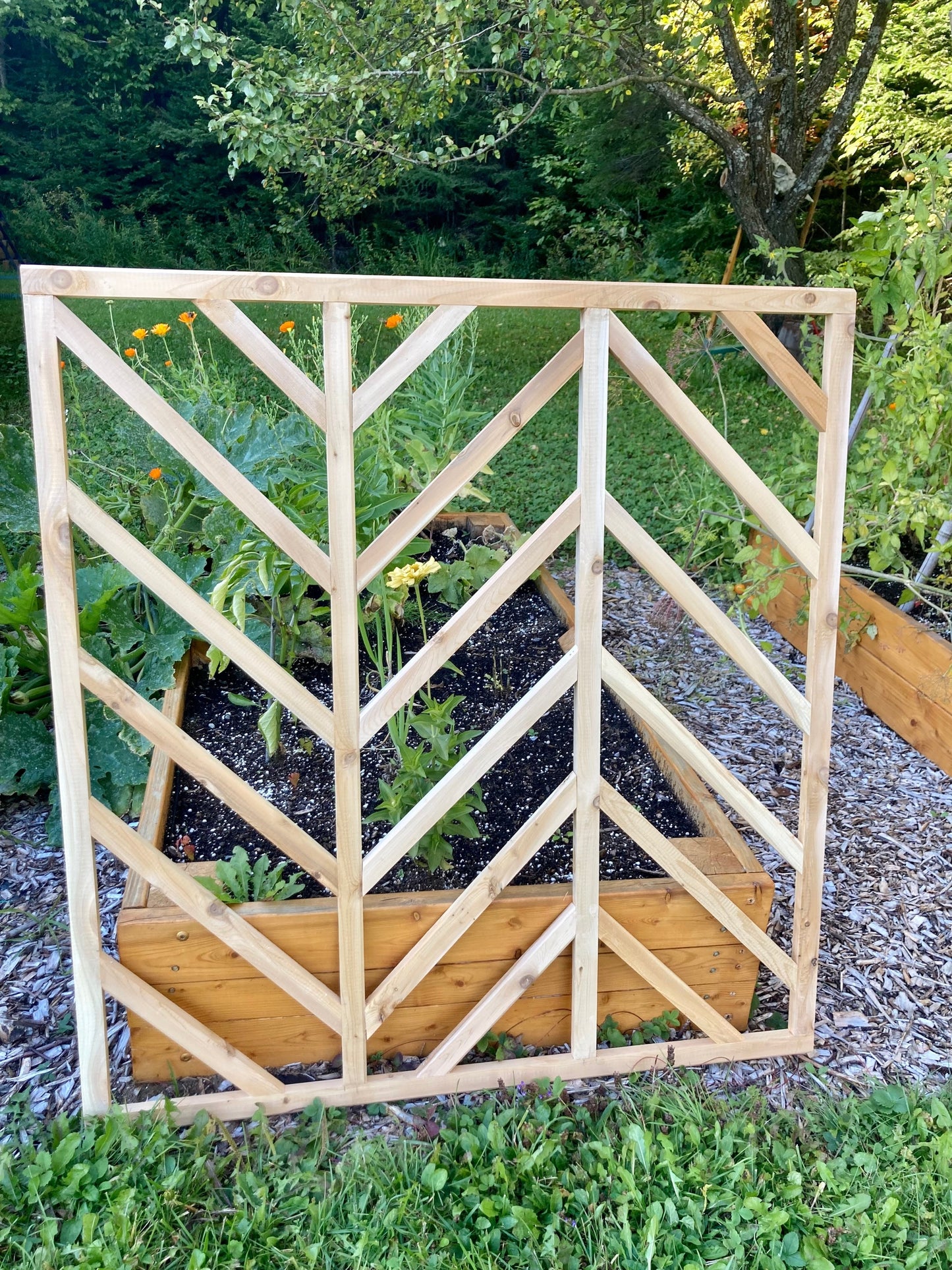 Trellis à chevron