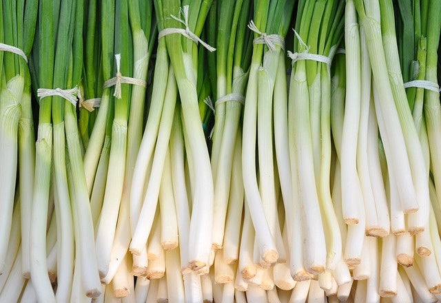 Oignon vert (plants)