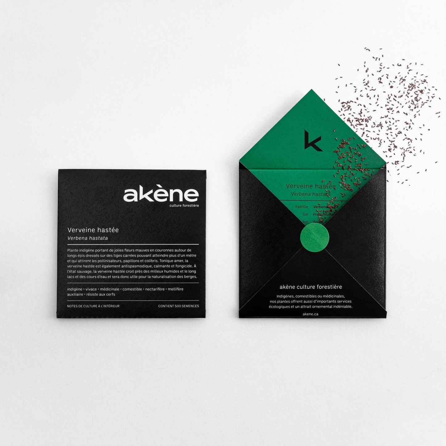 Verveine hastée (semences)