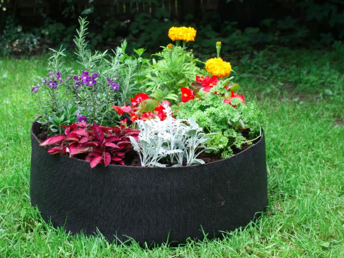 Jardins instantanés - Smart Pot