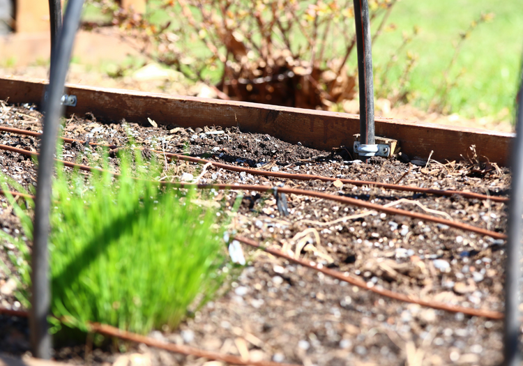 Irrigation