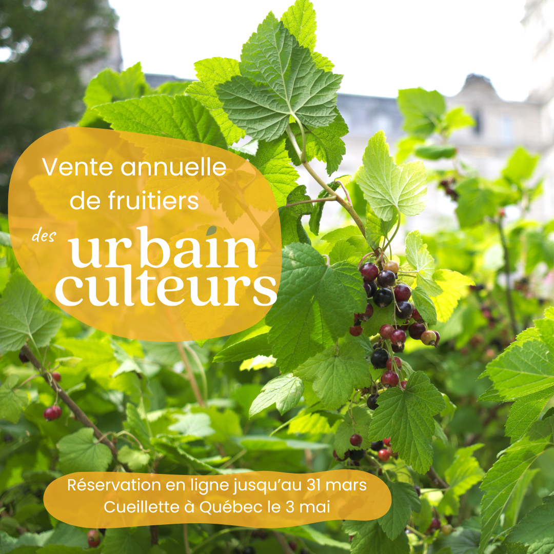 Fruitiers et autres comestibles