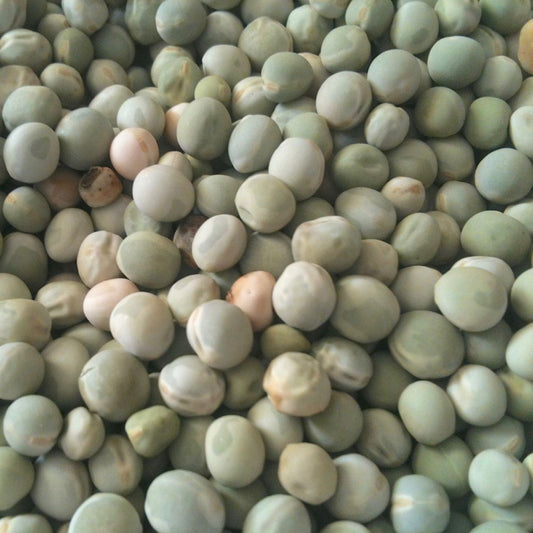 Pois à Soupe St-Hubert (semences bio)