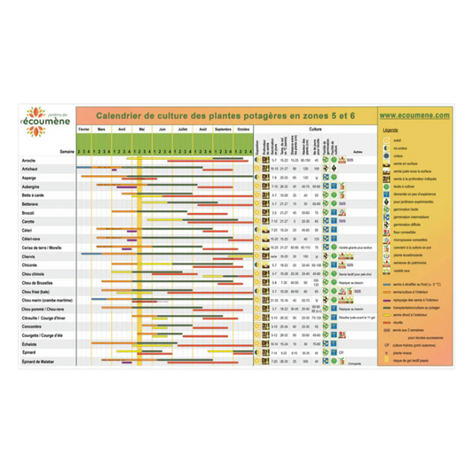 Calendrier de culture - zone 5-6