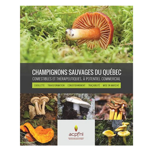 Champignons sauvages du Québec