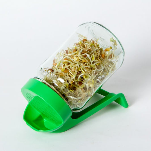 Couvercle perforé GermiMason