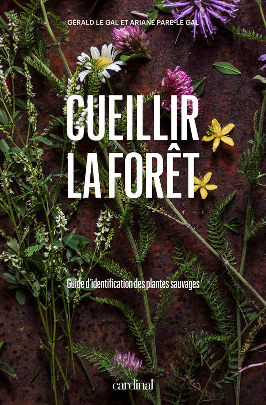 Cueillir la forêt — Guide d'identification des plantes sauvages